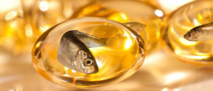 Khasiat Fish Oil Untuk Sabung Ayam Aduan